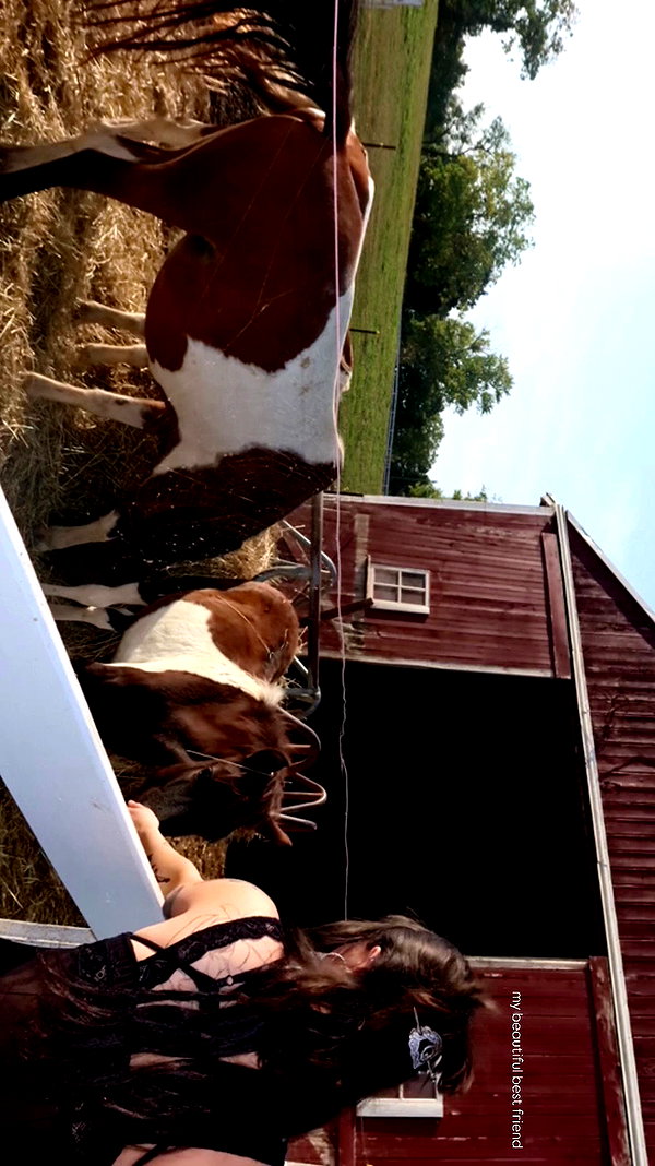 _paige.am archive video preview