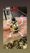 the.q.felicia Altpins Profile Picture