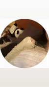 klywrxzzp Altpins Profile Picture