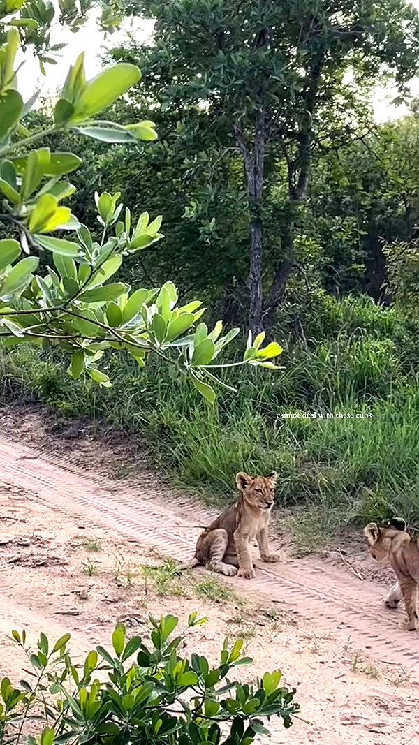 caseyjamess_ archive video preview