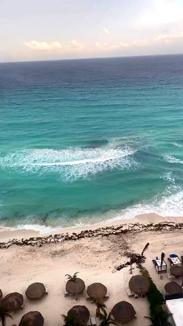 taylor.creeden archive video preview