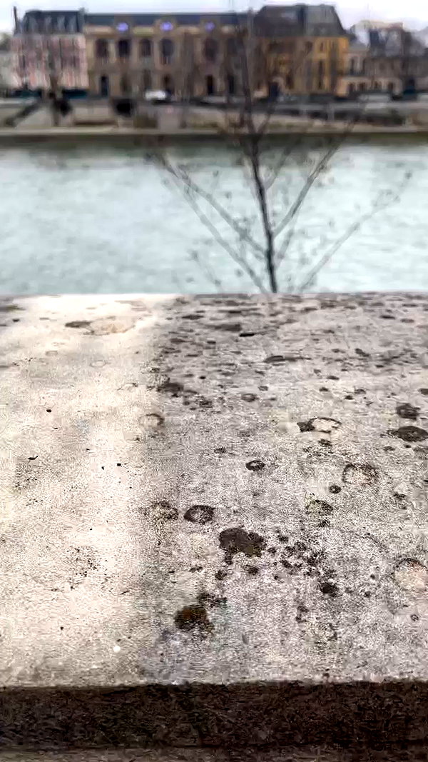 ruth_chavarri archive video preview