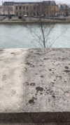 ruth_chavarri Altpins Profile Picture