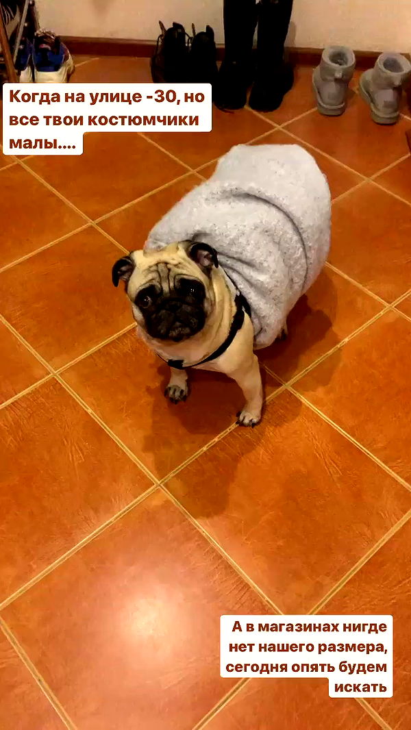 nyityam archive video preview