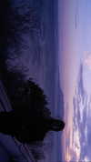 yule4kamraz Altpins Profile Picture