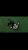ann.shellll Altpins Profile Picture