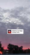 avital_1010.2003 Altpins Profile Picture