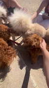 feelbetterinmysweater Altpins Profile Picture