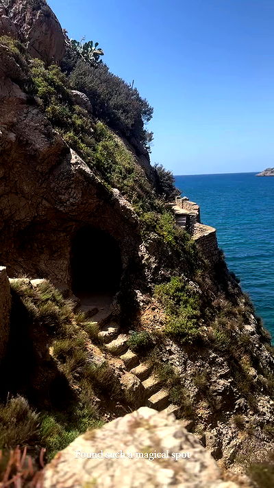 taylor.creeden taylor.creeden archive video