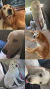 analuvillarreal Altpins Profile Picture