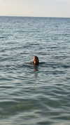 valeria_lukin Altpins Profile Picture