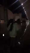 puppyknucklesxx Altpins Profile Picture