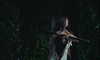 madisonbeer Altpins Profile Picture