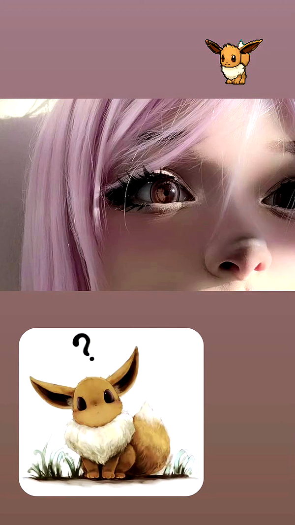 skunk_paww archive video preview