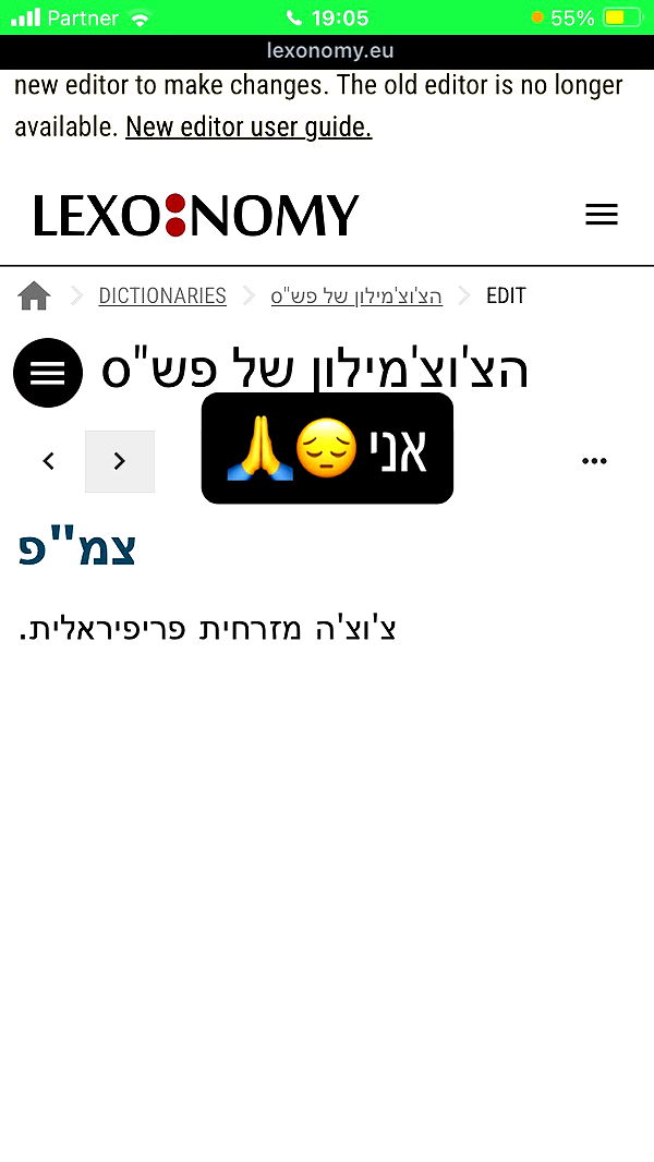 elianachetrit archive video preview
