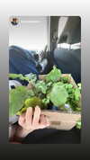 dante_yangpa Altpins Profile Picture