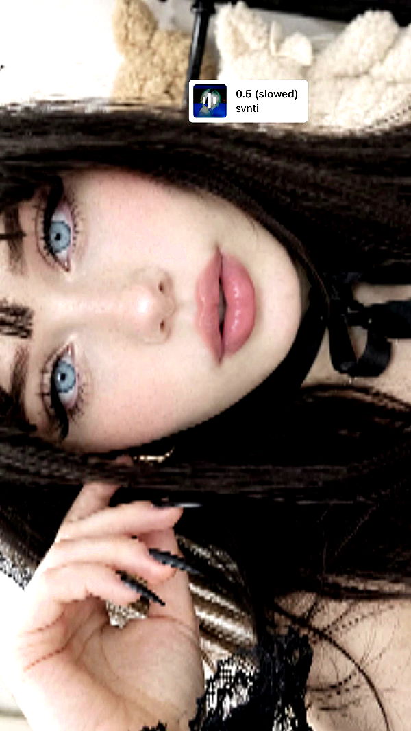 moonliliaght archive video preview