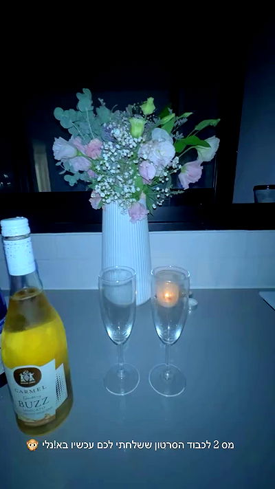 rebecka_tsadok rebecka_tsadok archive video