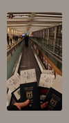 avital_1010.2003 Altpins Profile Picture