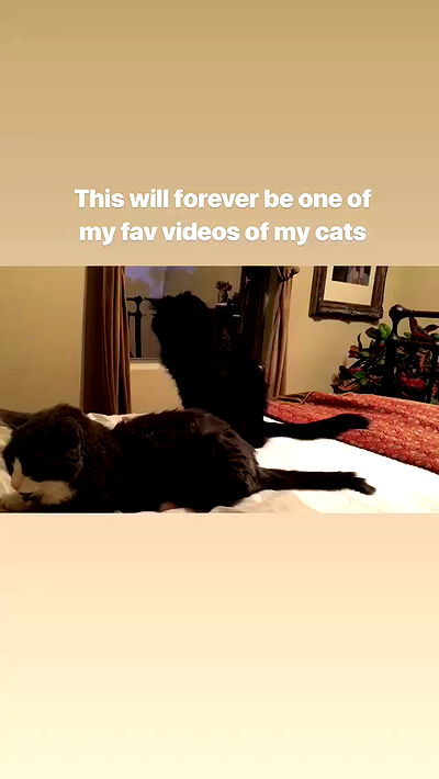 iluvmeww iluvmeww archive video