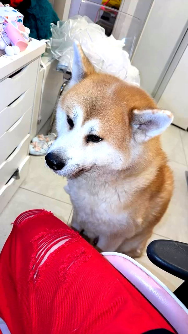 pilmeny.chan archive video preview