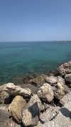 galibilaus Altpins Profile Picture