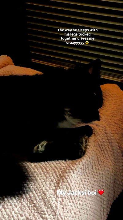 bakedsloths bakedsloths archive video