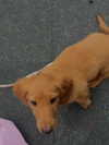 poppyymatildaa Altpins Profile Picture