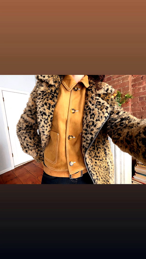 lilrotini archive video preview
