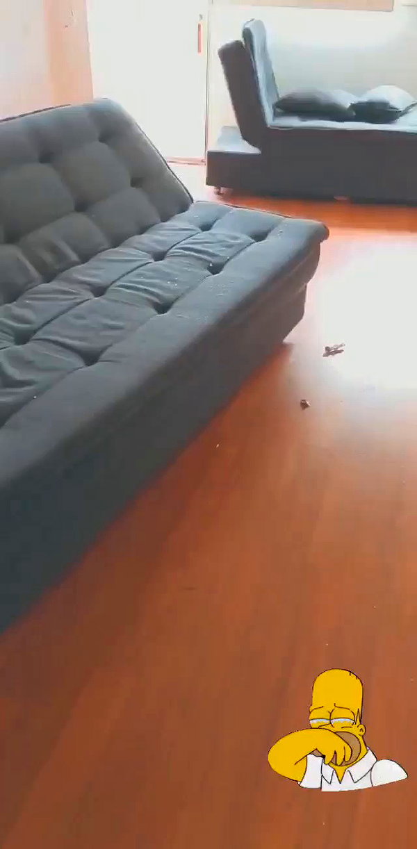 ruth_chavarri archive video preview