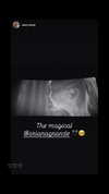 arianagrande Altpins Profile Picture