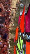 _lironatias Altpins Profile Picture