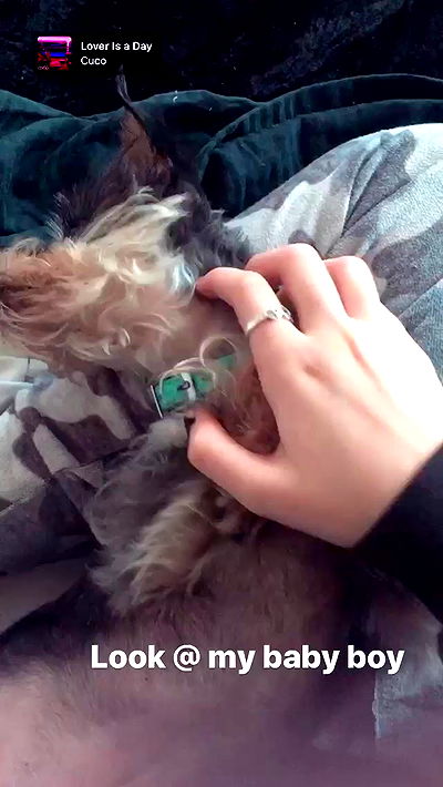 iluvmeww iluvmeww archive video