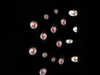 sabrvna Altpins Profile Picture
