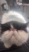 klywrxzzp Altpins Profile Picture