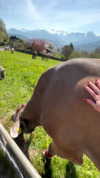 lotembar Altpins Profile Picture