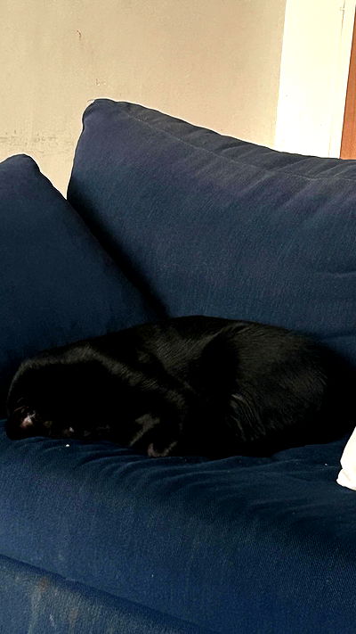 feelbetterinmysweater feelbetterinmysweater archive video