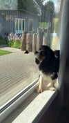 ptpchik Altpins Profile Picture