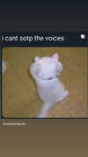 babynympho_archive Altpins Profile Picture