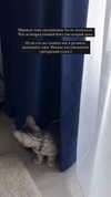 milena_milachich Altpins Profile Picture