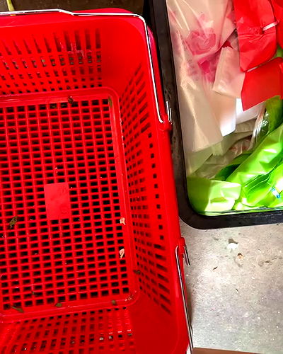 ting851204 ting851204 archive video