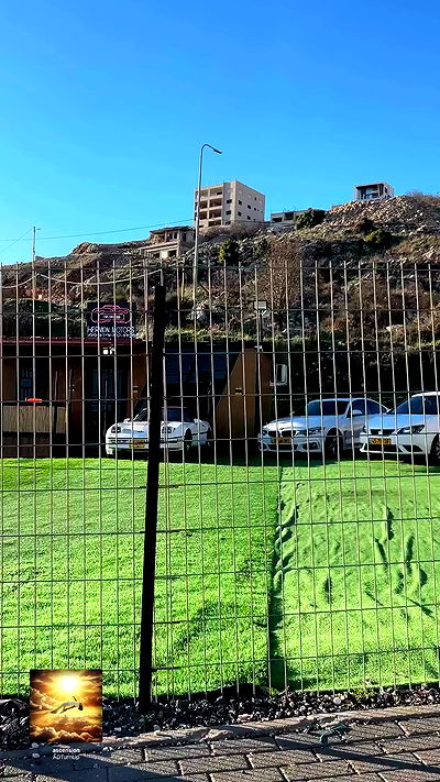 simp_for_cats_ simp_for_cats_ archive video