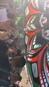 _lironatias Altpins Profile Picture