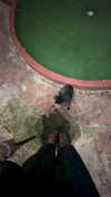 dana_ratushany Altpins Profile Picture