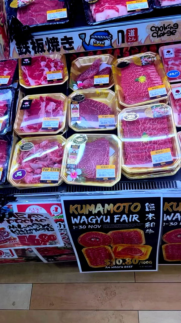 sapir_shemer archive video preview