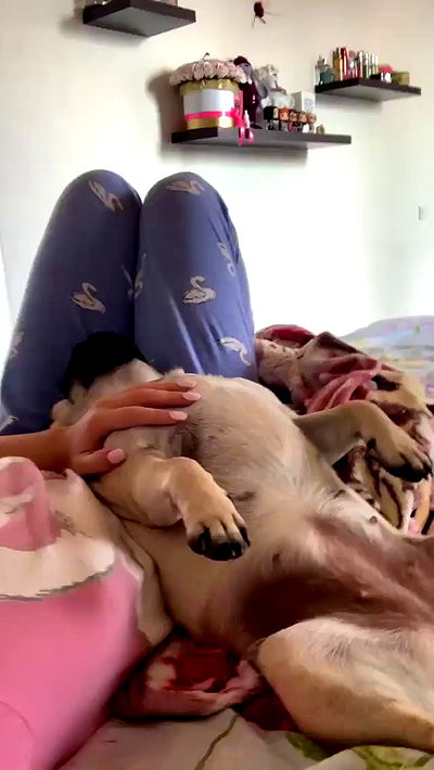 nyityam nyityam archive video