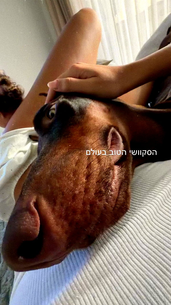 shir.davida6 archive video preview