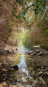 mishel_d_ Altpins Profile Picture
