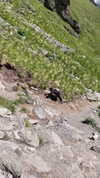 stranstviepera Altpins Profile Picture