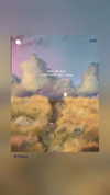 _ann.kim_ Altpins Profile Picture